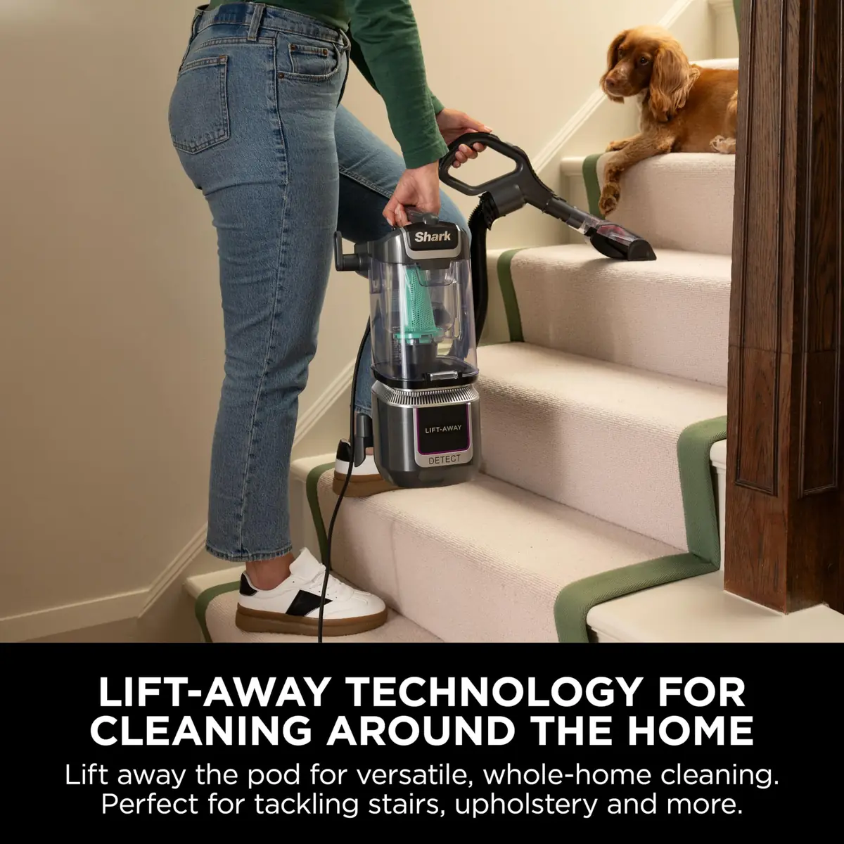 Shark Detect Corded Upright Vacuum Cleaner - 1.2L, 600W, Lift-Away - Image 6